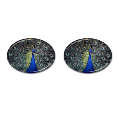 Peocock 0010 Cufflinks (Oval) from ArtsNow.com Front(Pair)