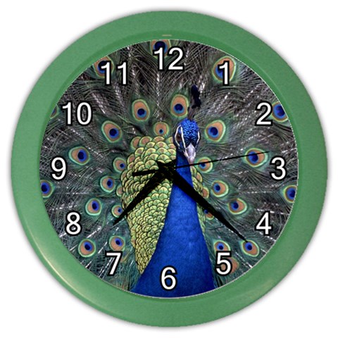 Peocock 0010 Color Wall Clock from ArtsNow.com Front