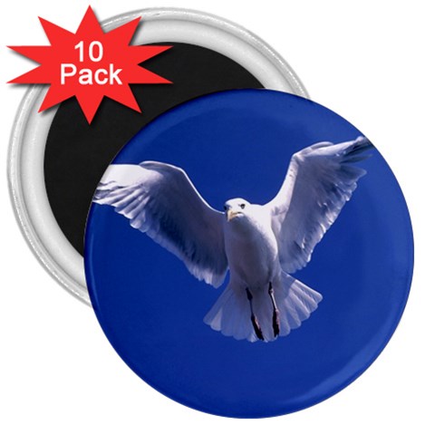 Seagull 0011 3  Magnet (10 pack) from ArtsNow.com Front