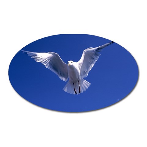 Seagull 0011 Magnet (Oval) from ArtsNow.com Front