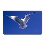 Seagull 0011 Magnet (Rectangular)