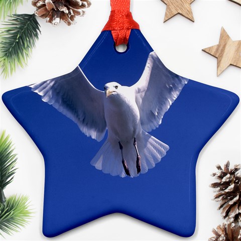 Seagull 0011 Star Ornament (Two Sides) from ArtsNow.com Front