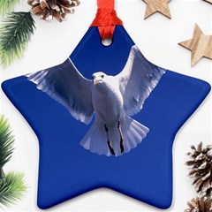 Seagull 0011 Star Ornament (Two Sides) from ArtsNow.com Front