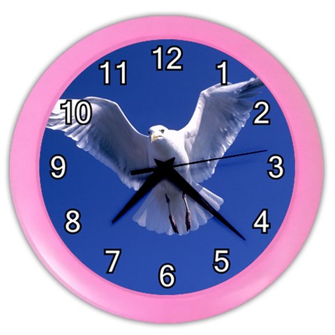 Seagull 0011 Color Wall Clock from ArtsNow.com Front