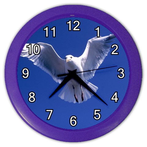 Seagull 0011 Color Wall Clock from ArtsNow.com Front