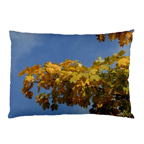 from ArtsNow.com 26.62 x18.9  Pillow Case