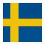 Swedish Flag Glasses Cloth (Medium)