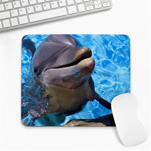 Dolphin Large Mousepad from ArtsNow.com Front