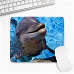 Dolphin Large Mousepad