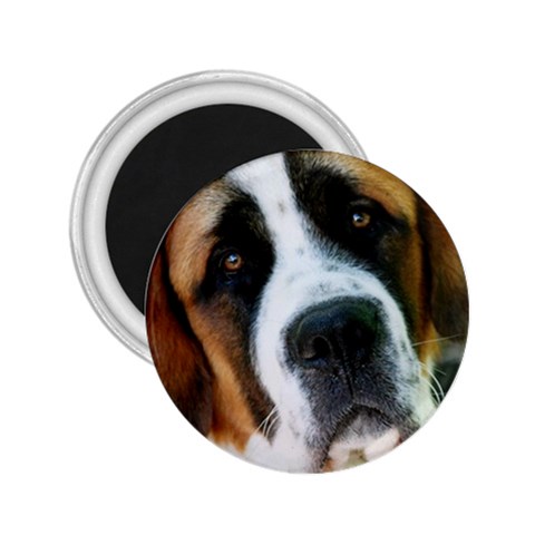 Saint Bernard 2.25  Magnet from ArtsNow.com Front