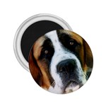 Saint Bernard 2.25  Magnet