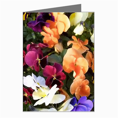 Multi colore flowers Greeting Card from ArtsNow.com Left