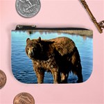 Wet bear Mini Coin Purse