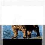 Wet bear Jigsaw Puzzle (Rectangular)