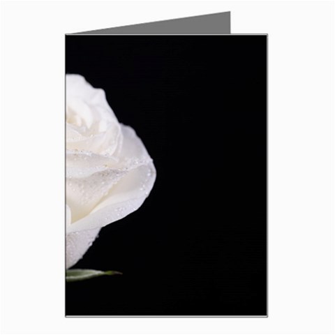 White rose Greeting Card from ArtsNow.com Left