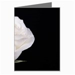 White rose Greeting Card