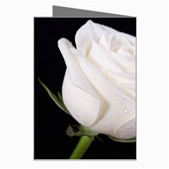 White rose Greeting Card from ArtsNow.com Right