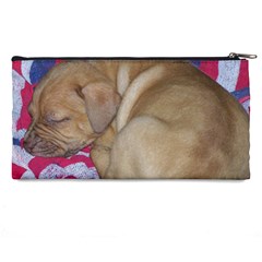 Sleeping puppy Pencil Case from ArtsNow.com Back