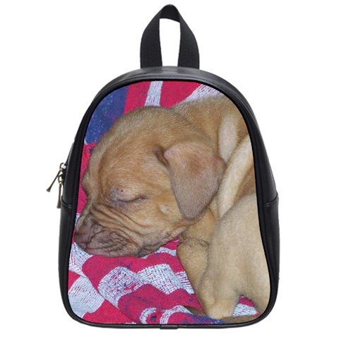 Sleeping puppy School Bag (Small) from ArtsNow.com Front