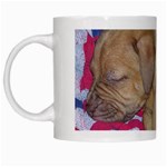 Sleeping puppy White Mug