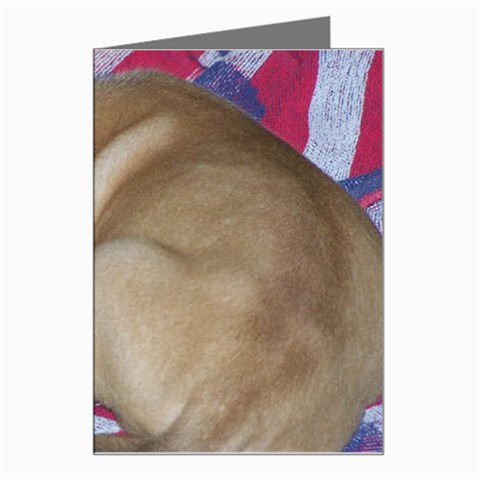 Sleeping puppy Greeting Card from ArtsNow.com Left