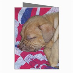 Sleeping puppy Greeting Card from ArtsNow.com Right