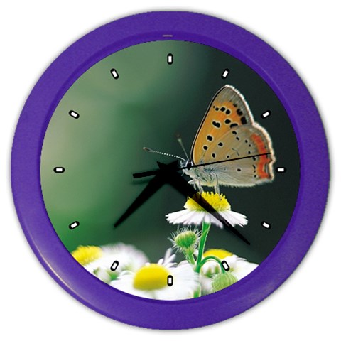 Eesign0228 Color Wall Clock from ArtsNow.com Front