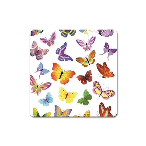 Bright Butterflies Magnet (Square) from ArtsNow.com Front