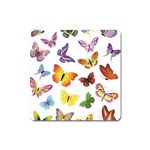 Bright Butterflies Magnet (Square)