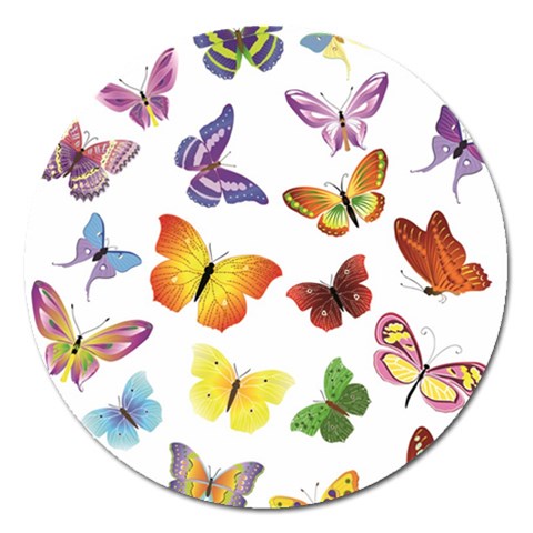 Bright Butterflies Magnet 5  (Round) from ArtsNow.com Front