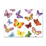 Bright Butterflies Sticker A4 (10 pack)