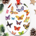 Bright Butterflies 2 Ornament (Oval)