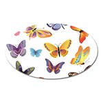 Bright Butterflies 2 Magnet (Oval)