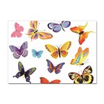 Bright Butterflies 2 Sticker A4 (10 pack)