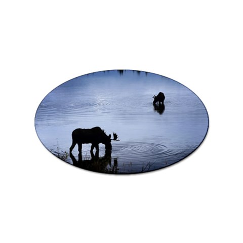 Moose in Peaceful Waters Sticker (Oval) from ArtsNow.com Front