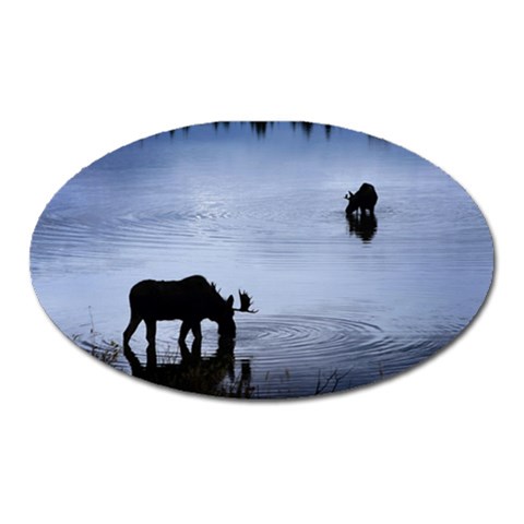 Moose in Peaceful Waters Magnet (Oval) from ArtsNow.com Front