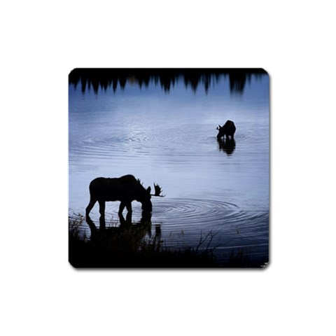 Moose in Peaceful Waters Magnet (Square) from ArtsNow.com Front