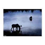 Moose in Peaceful Waters Sticker A4 (10 pack)