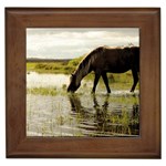 Horse in the Water Framed Tile