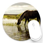 Horse in the Water Round Mousepad