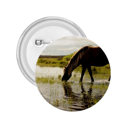 Horse in the Water 2.25  Button from ArtsNow.com Front