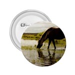 Horse in the Water 2.25  Button