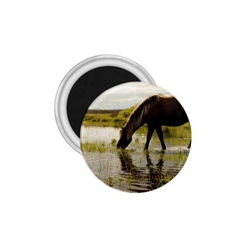 Horse in the Water 1.75  Magnet from ArtsNow.com Front