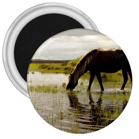 Horse in the Water 3  Magnet from ArtsNow.com Front