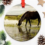 Horse in the Water Ornament (Round)