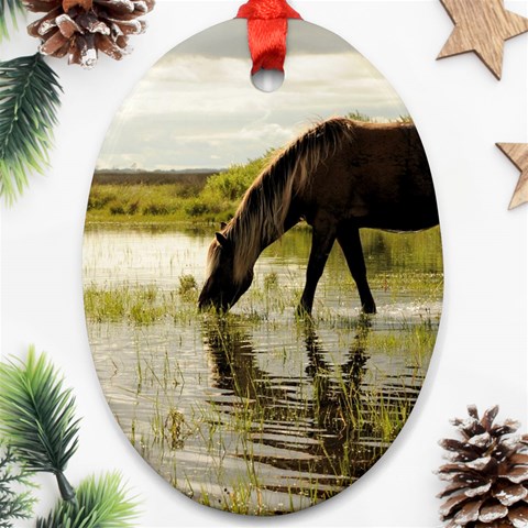 Horse in the Water Ornament (Oval) from ArtsNow.com Front