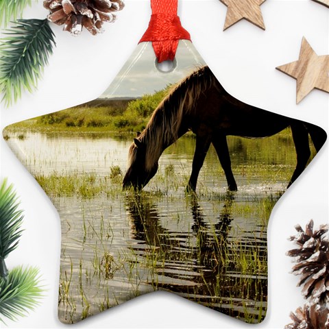 Horse in the Water Ornament (Star) from ArtsNow.com Front