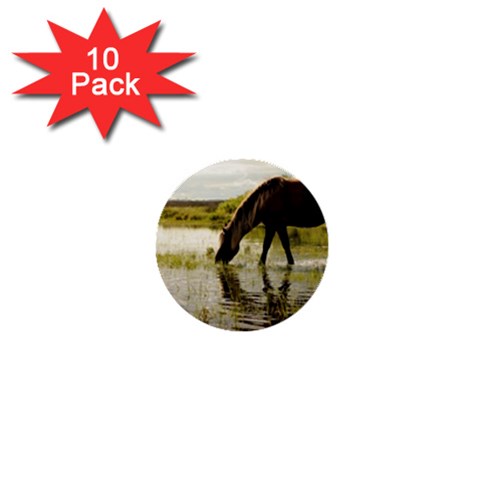 Horse in the Water 1  Mini Button (10 pack)  from ArtsNow.com Front