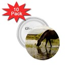 Horse in the Water 1.75  Button (10 pack) 