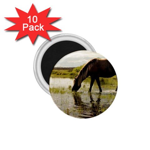 Horse in the Water 1.75  Magnet (10 pack)  from ArtsNow.com Front